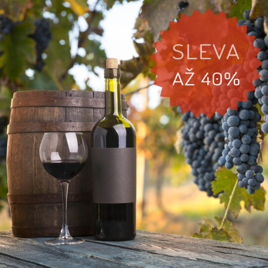 VINAŘSKÝ POBYT: RELAX S POLOPENZÍ, DEGUSTACÍ A BAZÉNEM